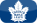 Camp d'entrainement Toronto Leafs 729722021